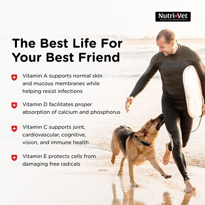 Image showing 5 th Nutri-Vet Senior-Vite Health & Wellness Soft Chew Dog Supplement, 120 ct.