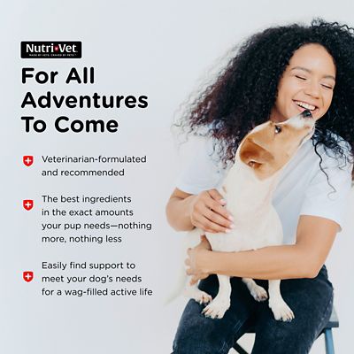 Image showing 7 th Nutri-Vet Senior-Vite Health & Wellness Soft Chew Dog Supplement, 120 ct.