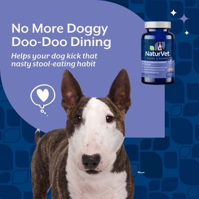 Image showing  Coprophagia Stool Eating Deterrent Plus Breath Aid Time-Release Tablets for Dogs, 60 ct.
