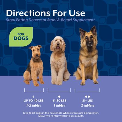 Image showing 5 th NaturVet Coprophagia Stool Eating Deterrent Plus Breath Aid Time-Release Tablets for Dogs, 60 ct.