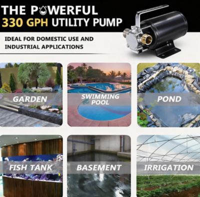 Image showing 5 th Pump Industrial 115 V 330GPH Mini Utility Transfer Pump