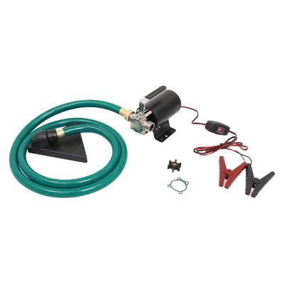 Image showing  12V DC 330GPH Mini Utility Transfer Pump