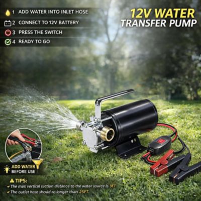 Image showing 5 th Pump Industrial 12 V DC 330 GPH Mini Utility Transfer Pump