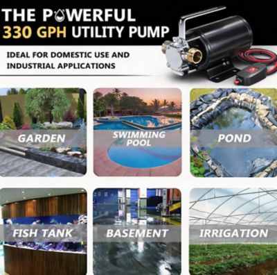 Image showing 6 th Pump Industrial 12 V DC 330 GPH Mini Utility Transfer Pump