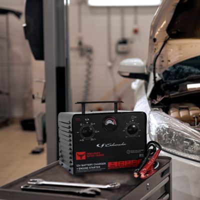 Image showing  Electric Farm and Ranch 250 Amp 6 Volt and 12 Volt Manual Timer-Controlled Battery Charger and Jump Starter