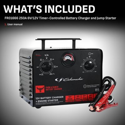 Image showing  Electric Farm and Ranch 250 Amp 6 Volt and 12 Volt Manual Timer-Controlled Battery Charger and Jump Starter