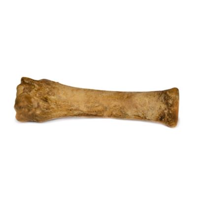 Image showing 8 th Nylabone Healthy Edibles Natural Dog Chews, Roast Beef Flavor