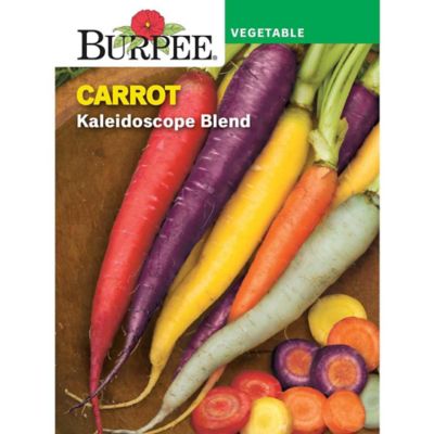 Burpee Vegetable, Carrot Kaleidoscope Blend Seeds