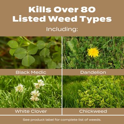 Image showing  Turf Builder Weed & Feed For Texas Lawns