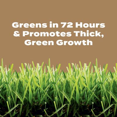 Image showing  Turf Builder Weed & Feed For Texas Lawns