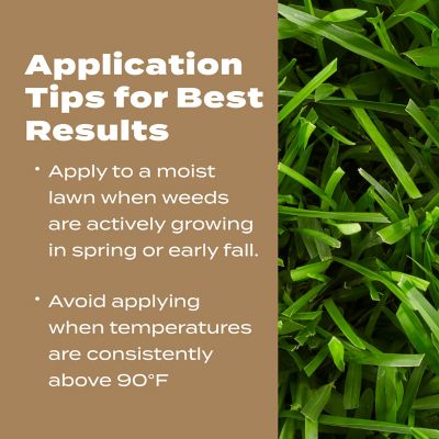 Image showing 5 th Scotts Turf Builder Weed & Feed For Texas Lawns