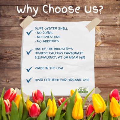 Image showing  Oyster Shell Flour Bag, 7 lb.