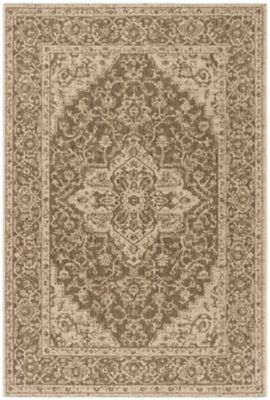 Safavieh Beach House BHS137 Indoor and Outdoor Area Rug