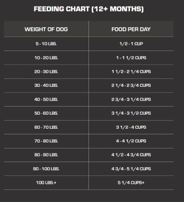 Image showing  Premium Maintenance 21/20 Adult Chicken Recipe Dry Dog Food, 44 lb. Bag