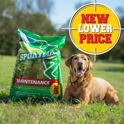 Image showing  Maintenance Adult Chicken Recipe Dry Dog Food