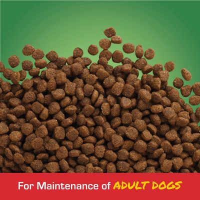 Image showing  Maintenance Adult Chicken Recipe Dry Dog Food