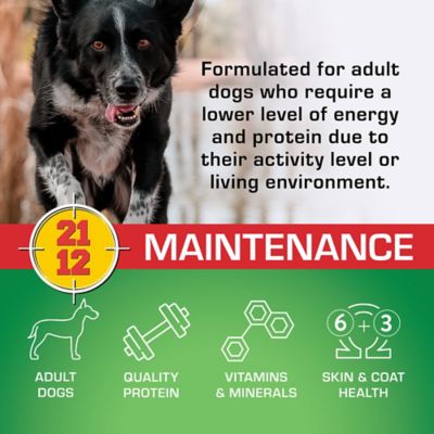 Image showing  Maintenance Adult Chicken Recipe Dry Dog Food