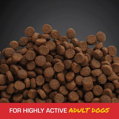 Image showing  Energy Plus Adult Performance Mini Chunk Chicken Recipe Dry Dog Food, 40 lb. Bag