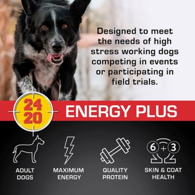 Image showing  Energy Plus Adult Performance Mini Chunk Chicken Recipe Dry Dog Food, 40 lb. Bag