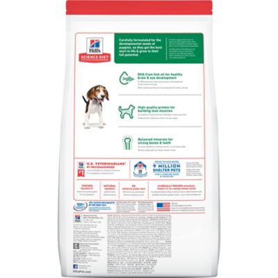 Image showing  Puppy Chicken and Brown Rice Recipe Dry Dog Food