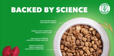 Image showing  Proactive Health Adult Beef Chunks in Gravy Wet Dog Food, 13 oz.