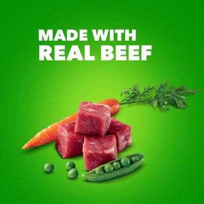 Image showing  Proactive Health Wet Dog Food Beef Chunks In Gravy, 13 oz. Can