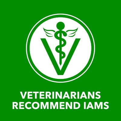 Image showing 5 th Iams Proactive Health Wet Dog Food Beef Chunks In Gravy, 13 oz. Can