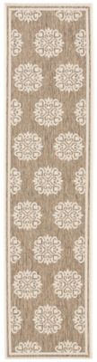 Safavieh Beach House BHS181 Indoor and Outdoor Area Rug