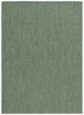 Safavieh Beach House BHS260 Indoor and Outdoor Area Rug