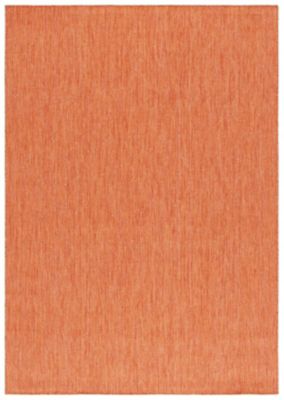 Safavieh Beach House BHS274 Indoor and Outdoor Area Rug
