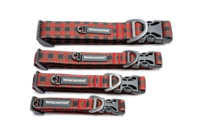 Image showing  Buffalo Designer Dog Collar