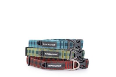 Image showing  Buffalo Designer Dog Collar