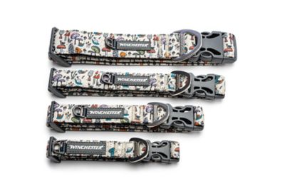 Image showing  Designer Dog Collar