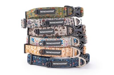 Image showing  Designer Dog Collar