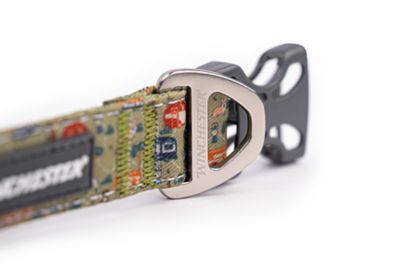 Image showing  Designer Dog Collar