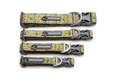 Image showing  Designer Dog Collar