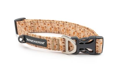 Image showing  Designer Dog Collar