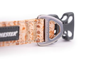 Image showing  Designer Dog Collar