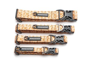 Image showing  Designer Dog Collar