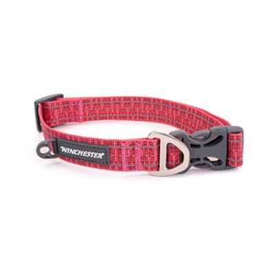 Winchester Pet Signature Ombre Dog Collar, S,Pink at Tractor Supply Co