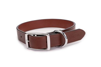 King Buck Leather Collar with D Ring, Leather