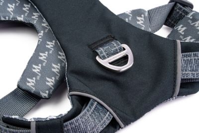 Image showing  Comfort Fit No Pull Padded Dog Harness