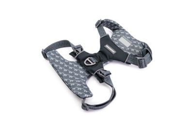 Image showing  Comfort Fit No Pull Padded Dog Harness