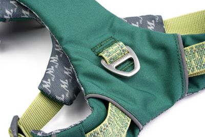 Image showing 4 th Winchester Pet Comfort Fit No Pull Padded Dog Harness
