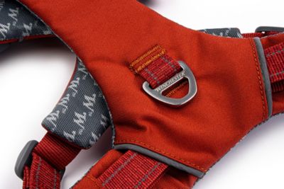 Image showing 4 th Winchester Pet Comfort Fit No Pull Padded Dog Harness