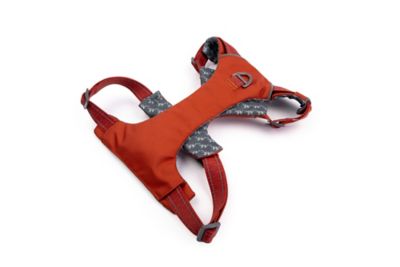 Image showing  Comfort Fit No Pull Padded Dog Harness