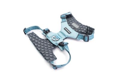 Image showing  Comfort Fit No Pull Padded Dog Harness