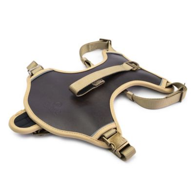 King Buck Premium Leather No Pull Dog Harness