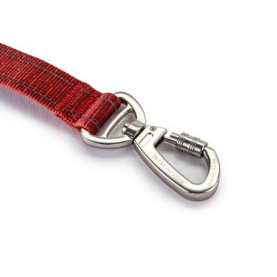 Image showing  Deluxe Reflective Carabiner Dog Leash
