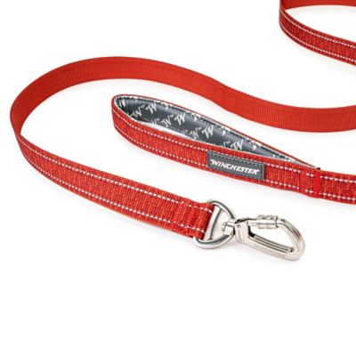 Image showing  Deluxe Reflective Carabiner Dog Leash
